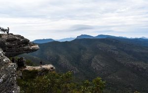 Read more about the article Harrop Track: Hike the Harrop Track