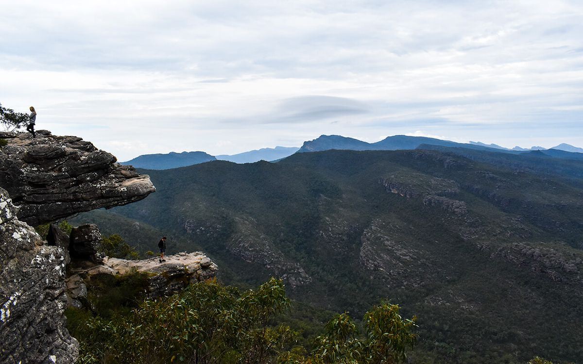 Read more about the article Harrop Track: Hike the Harrop Track