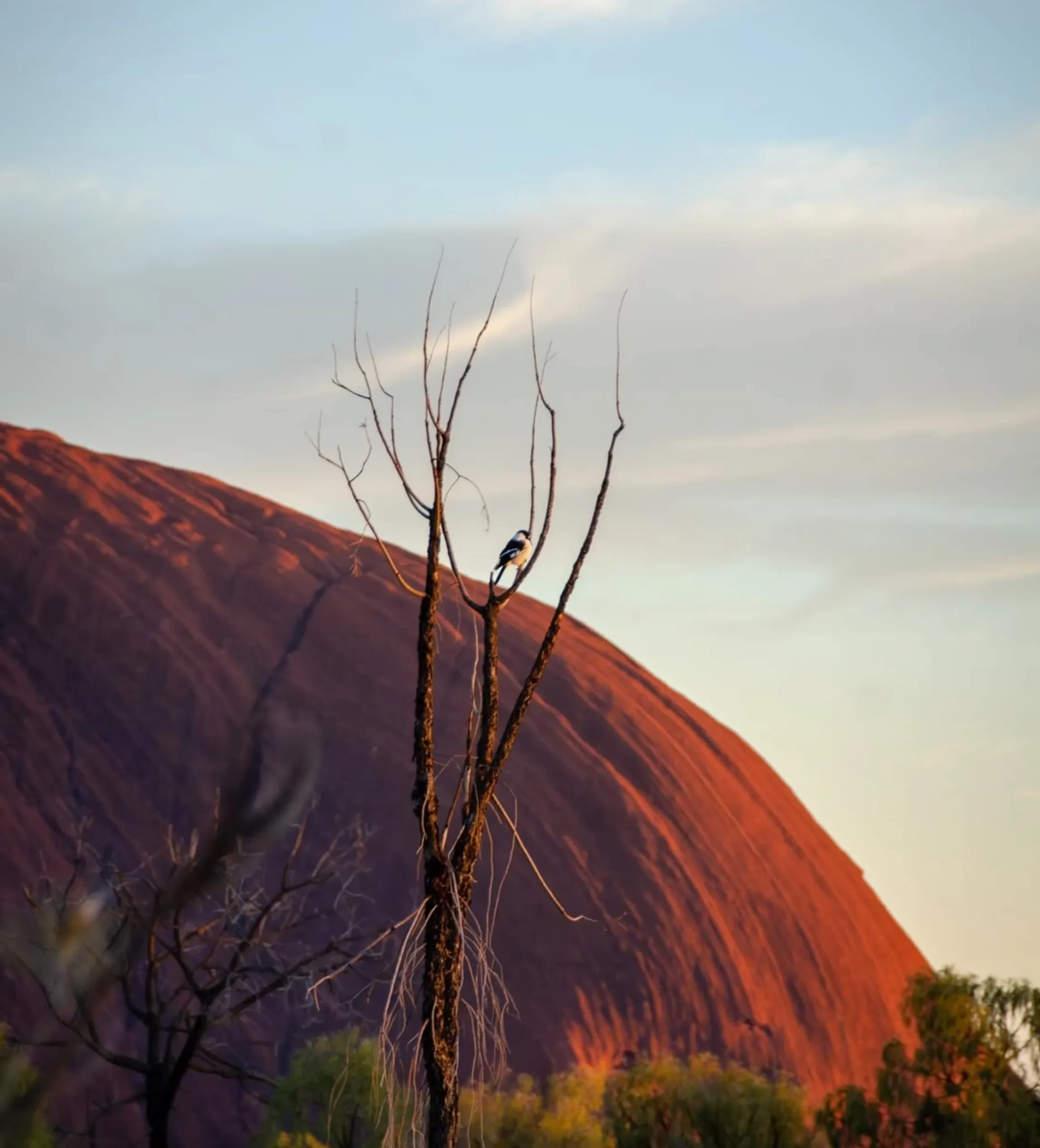 3 Day Uluru tour - link