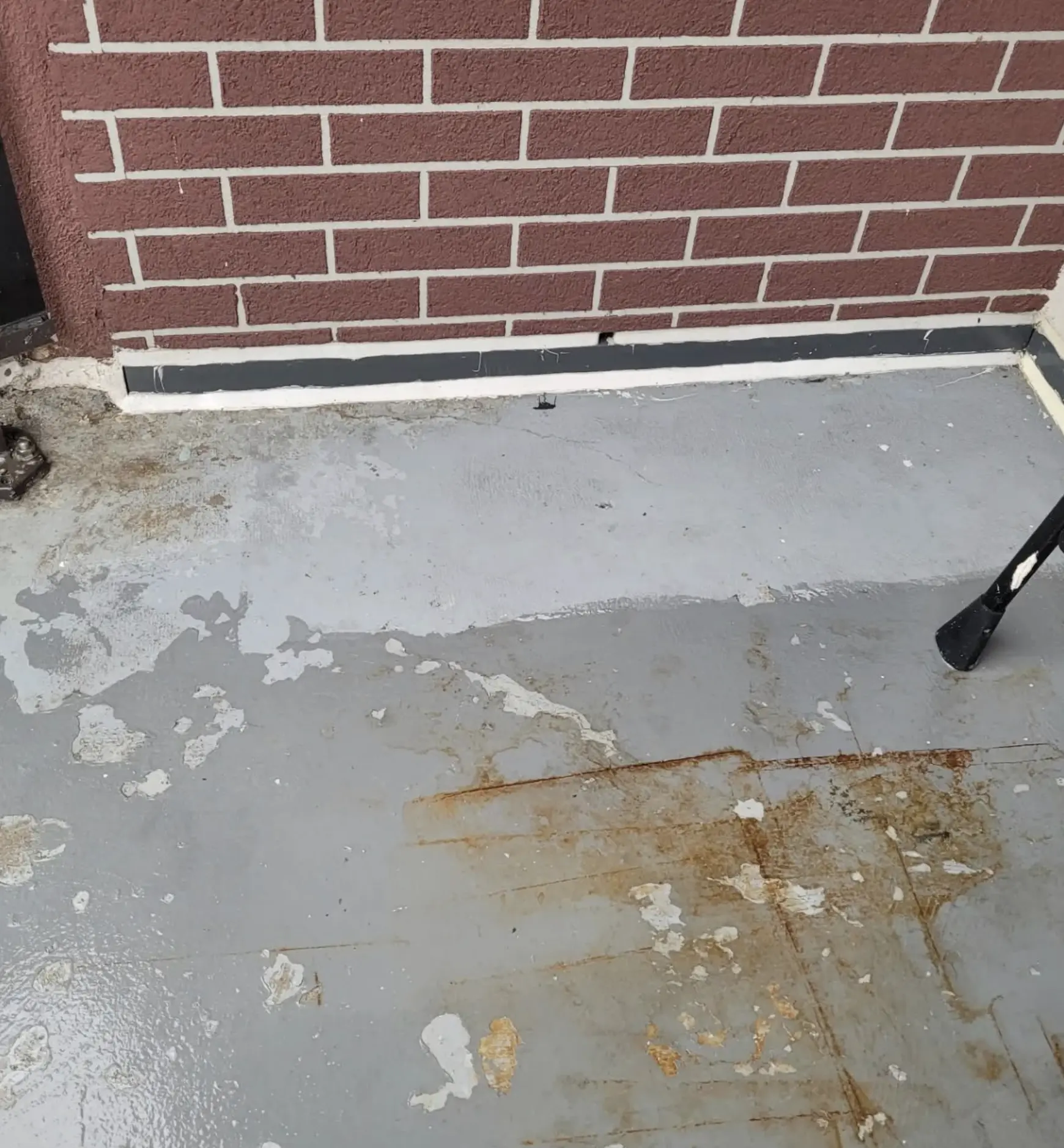exterior window cleaning services